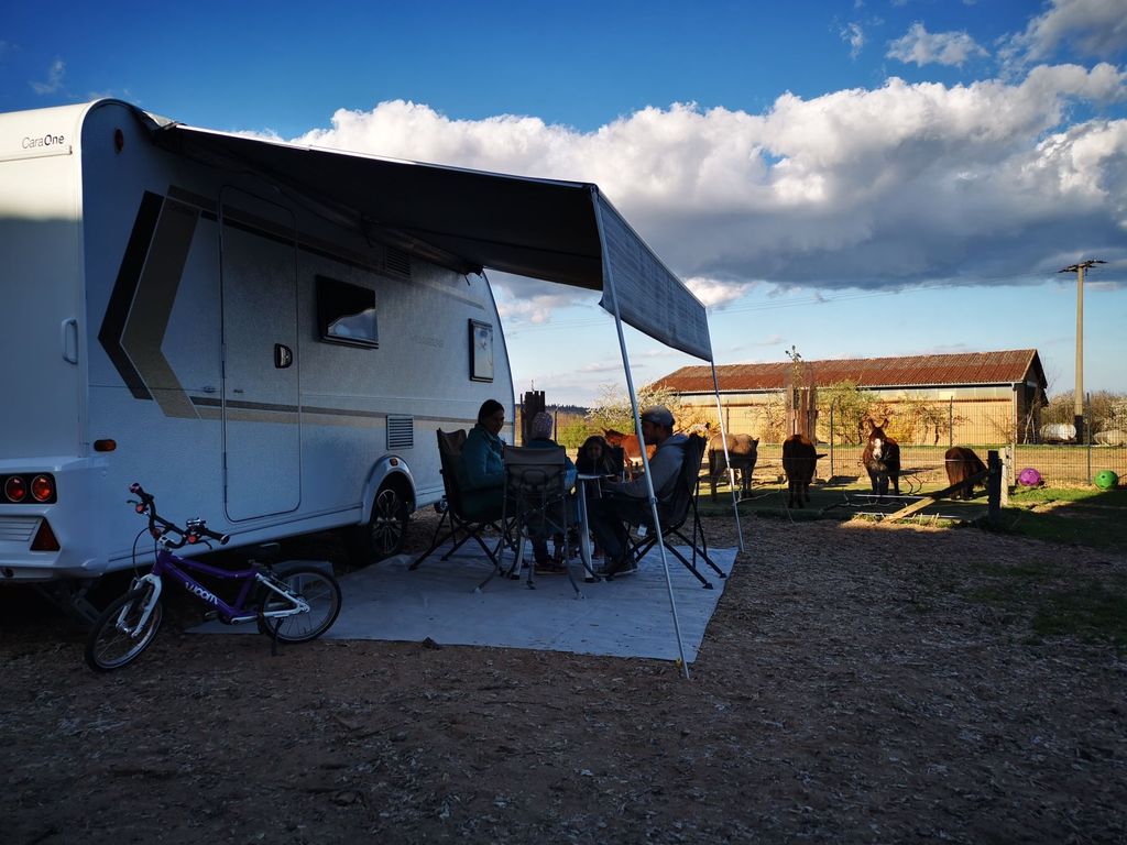 Camping at the donkey enclosure at Erlebnishof Odenwald