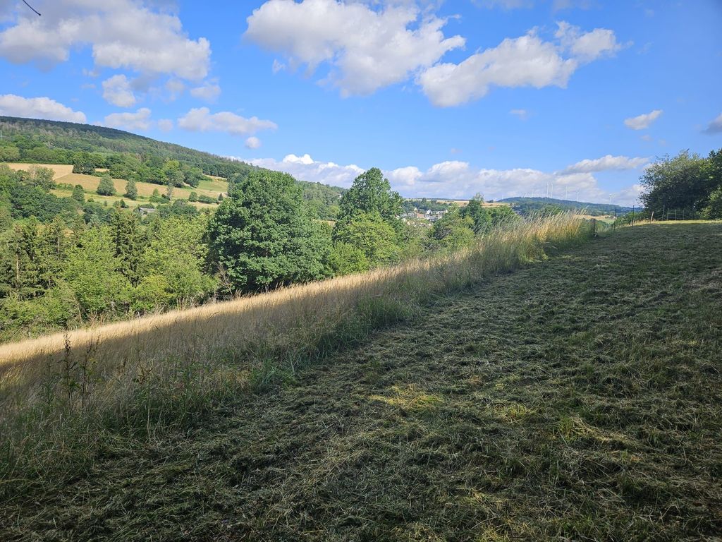 Grüne Wiese zwischen Rhön, Spessart und Vogelsberg