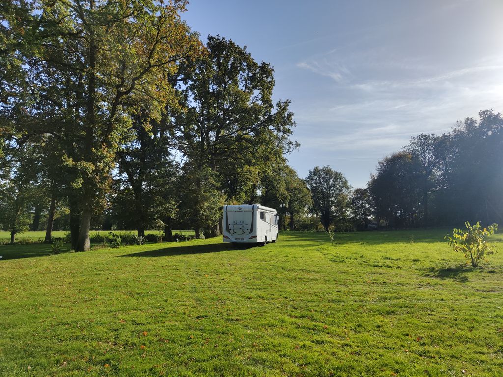 Small pasture under trees