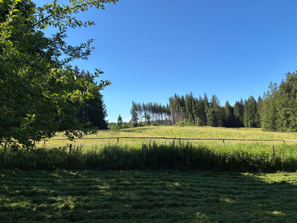 Un emplacement absolument isolé dans l'Allgäu
