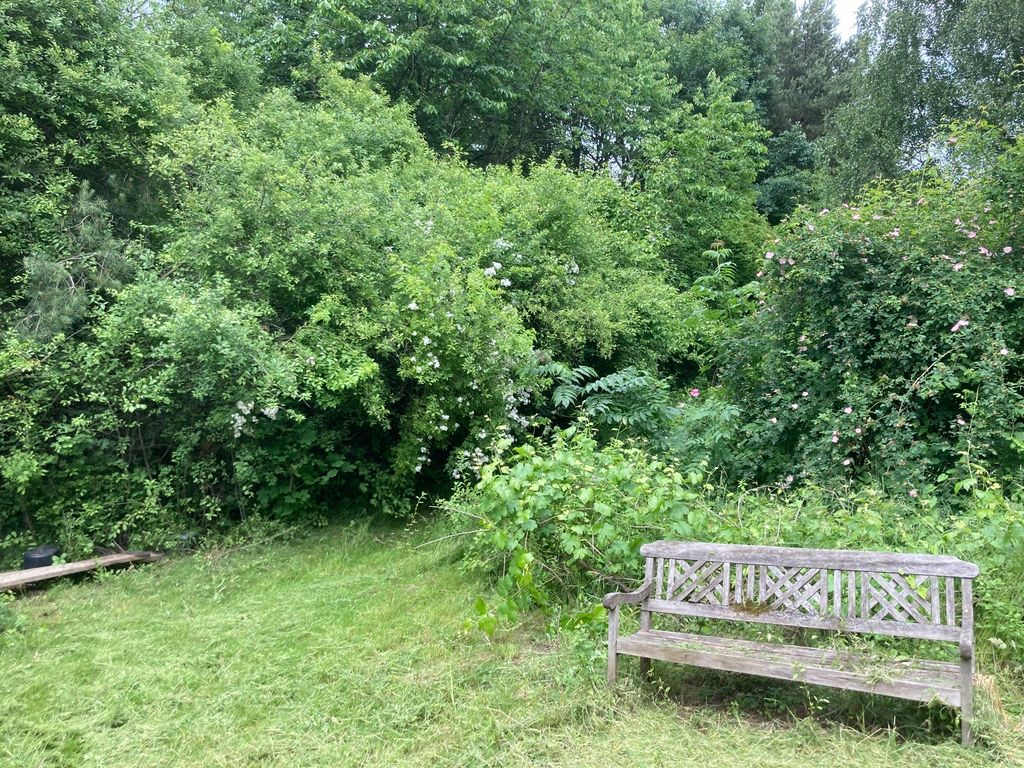 Naturerlebnis mitten in Hamburg