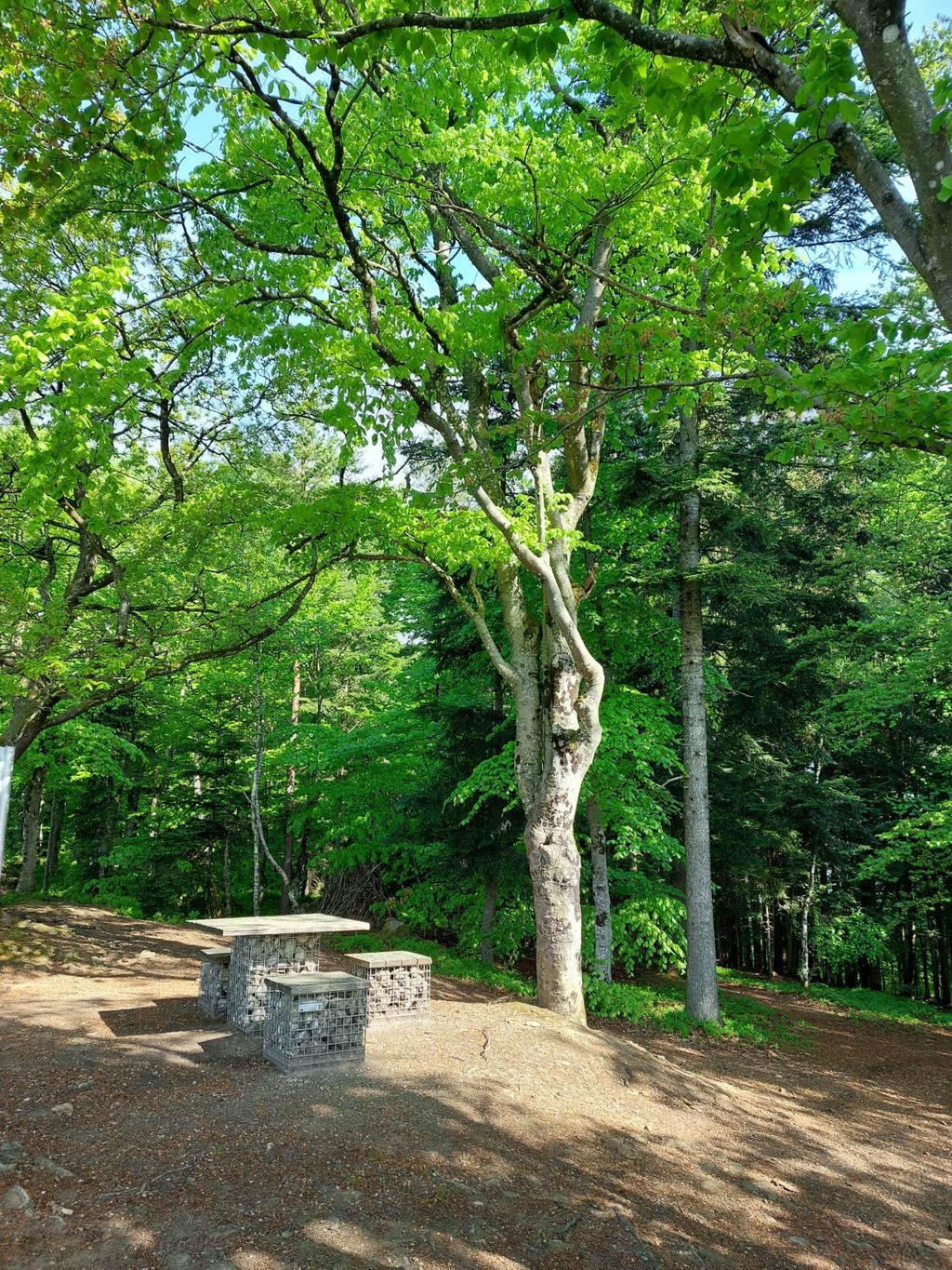 Camping au-dessus de la merveille naturelle qu'est le Donauschlinge