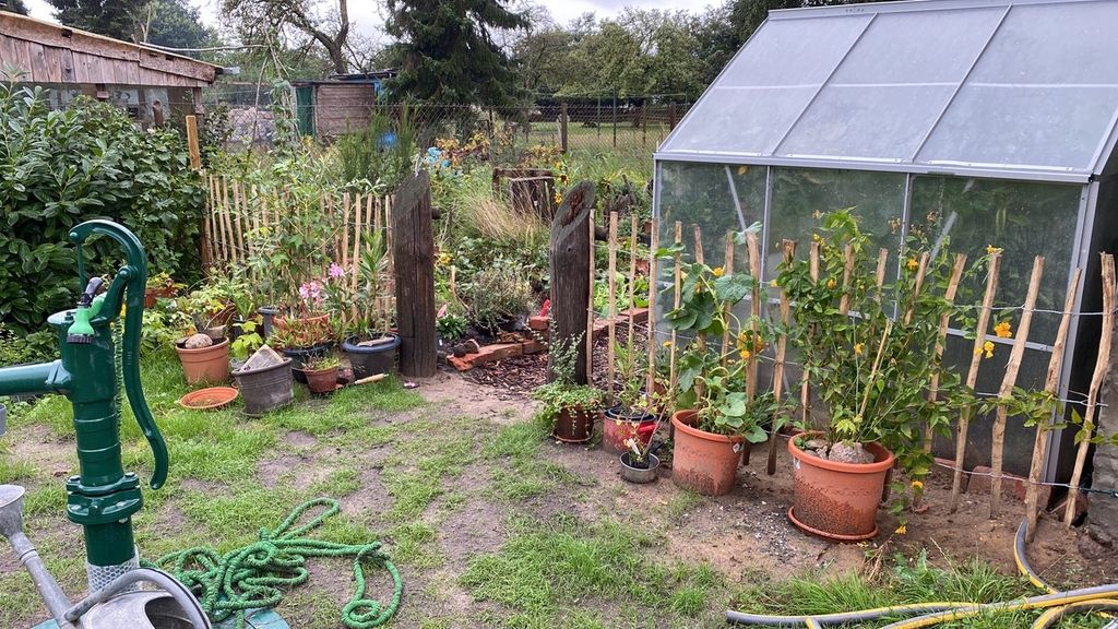 entspannt in der Wiese dem Alltag entfliehen