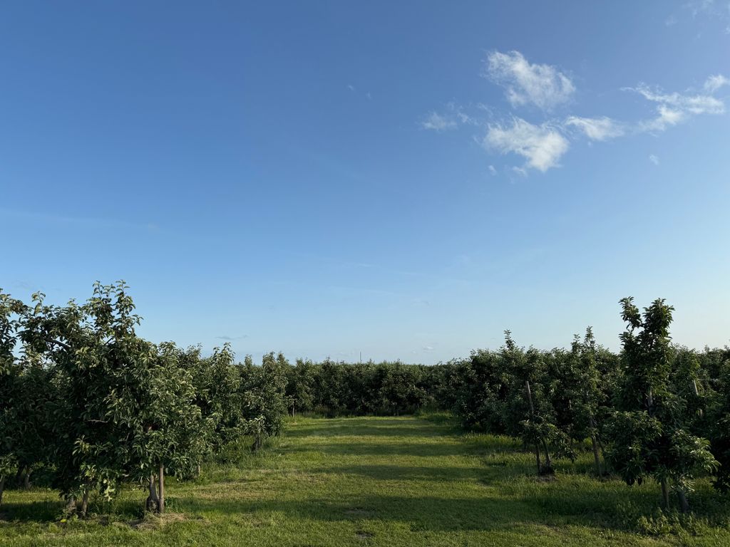 Camping am See im Herzen des Alten Landes
