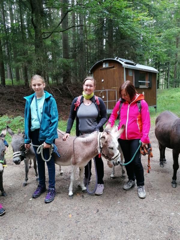 Tiny House dans une ferme de montagne bio avec des ânes