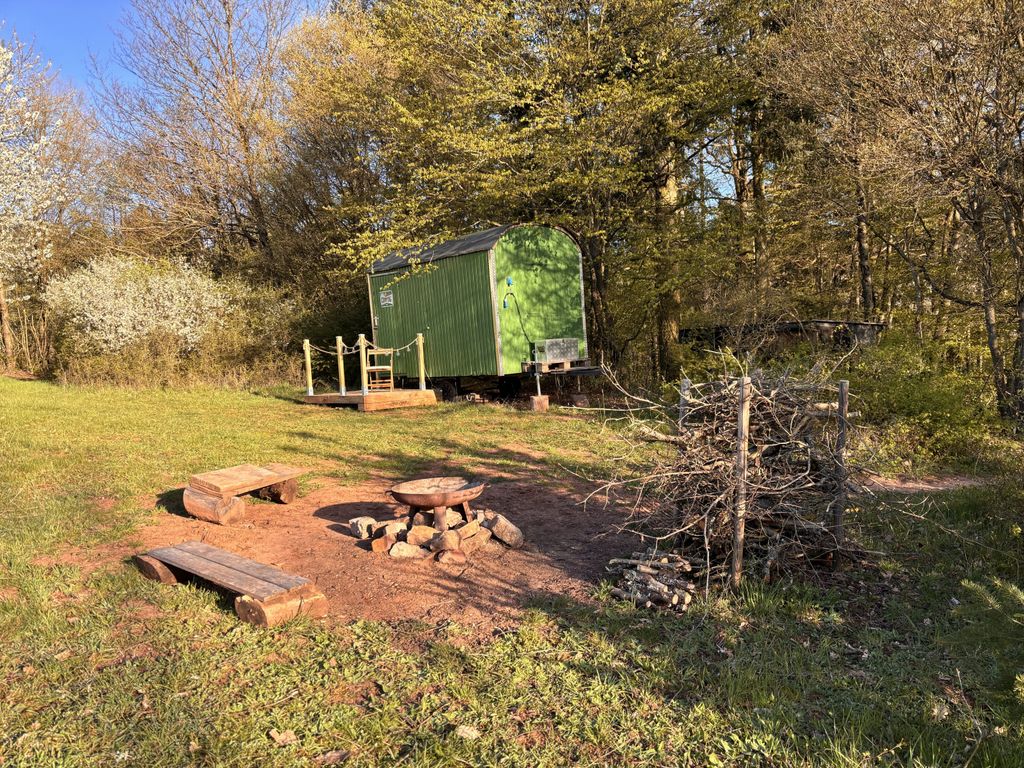 Gemütlicher Forstwagen auf der Wiese am Waldrand