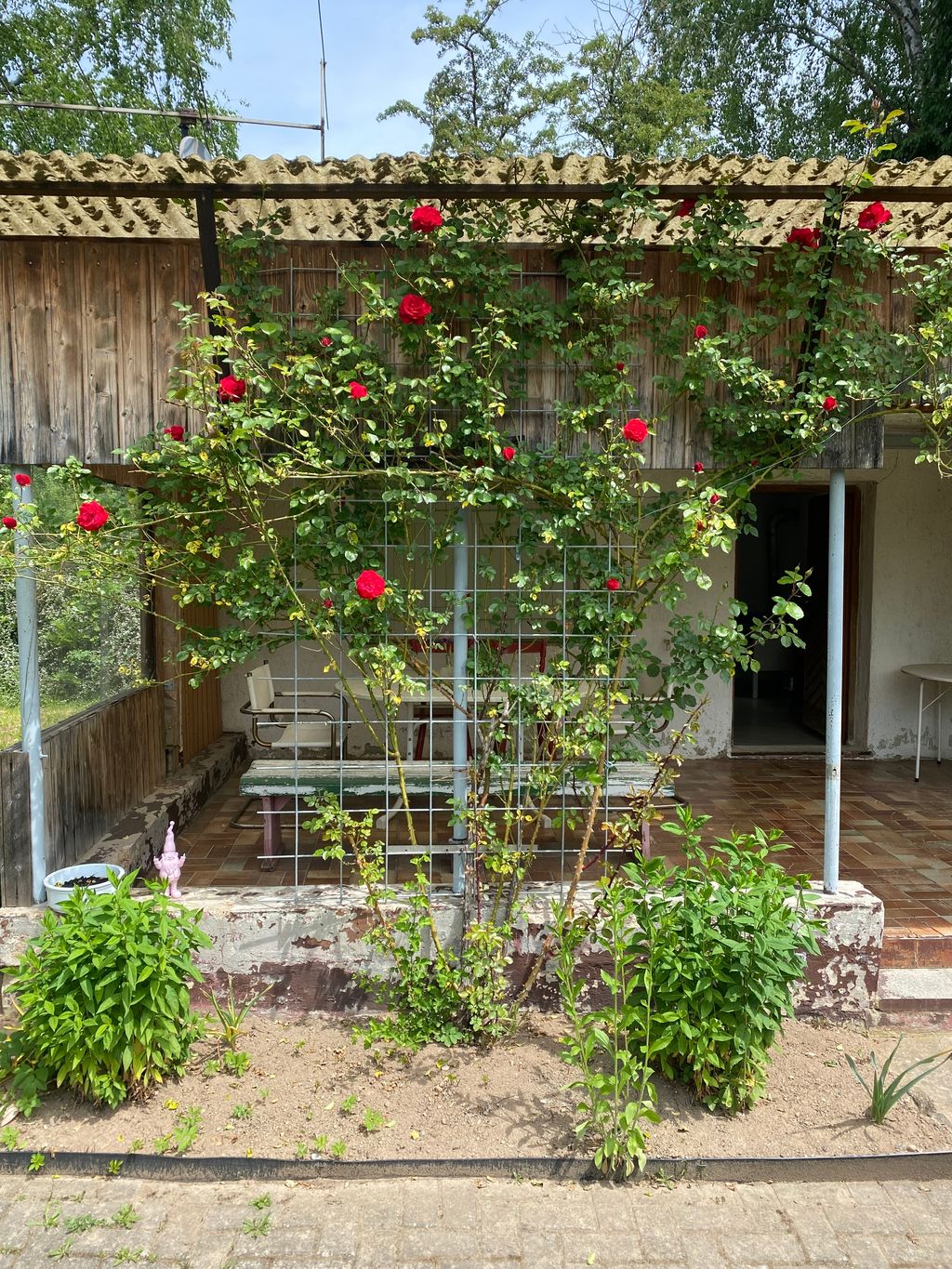 Jardin idyllique à proximité de la ville