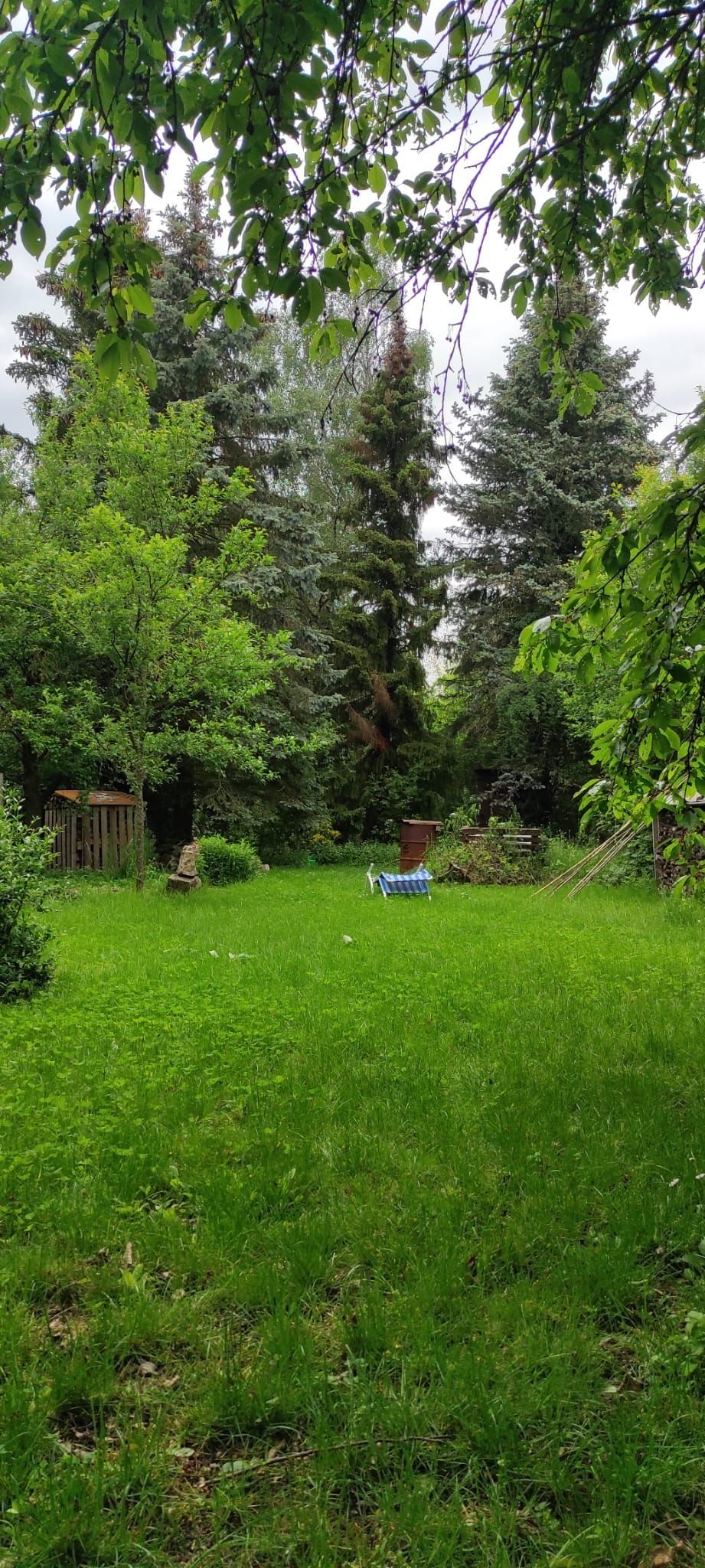 A relaxing meadow garden for nature loving