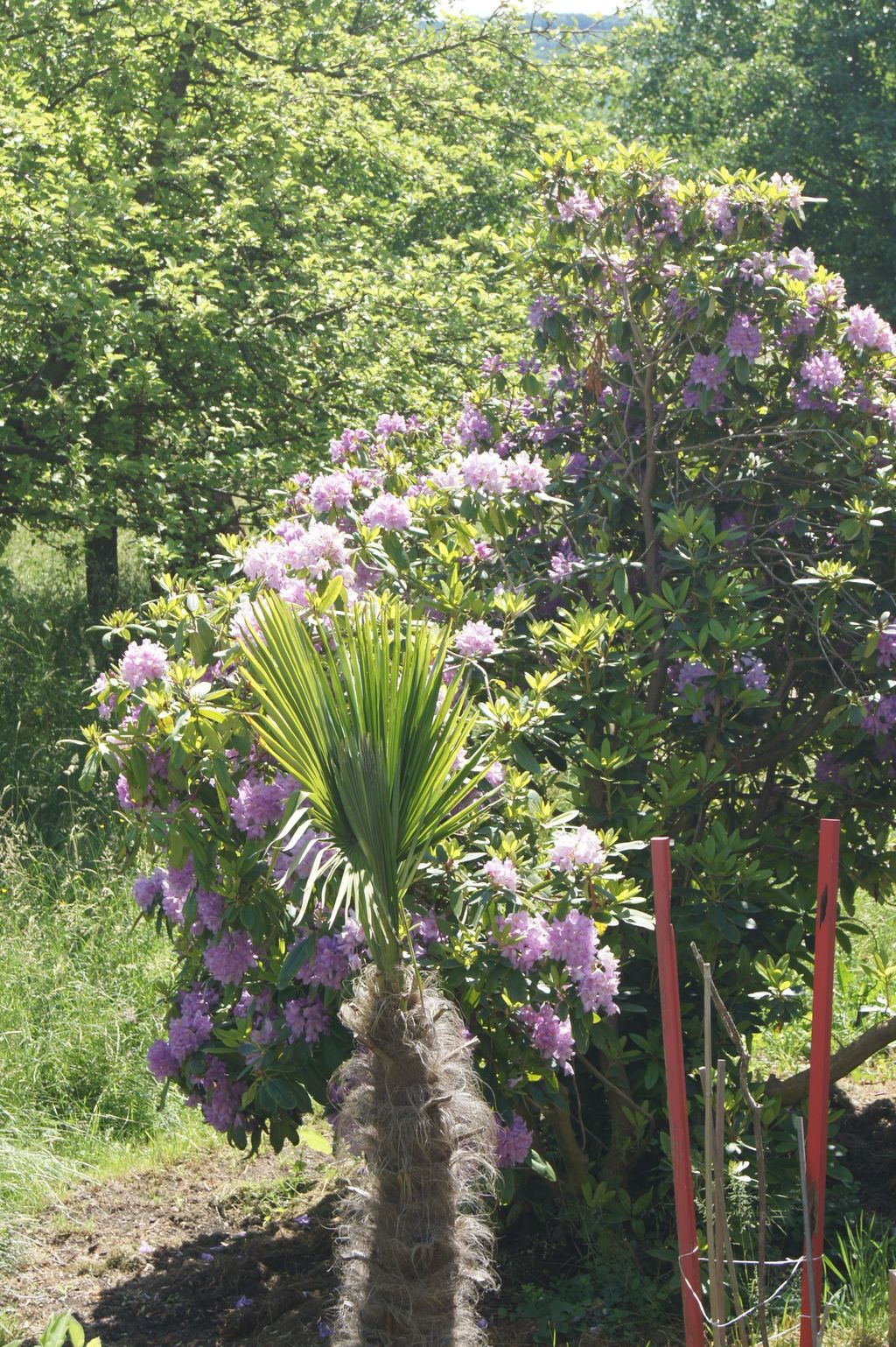 Schaffhausen Nature Park in Blauburgunderland