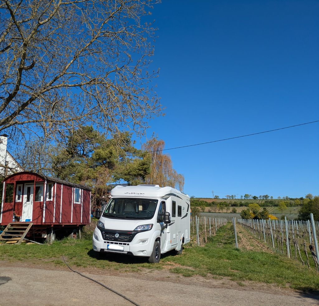 Bodega ecológica - Camping junto a los viñedos