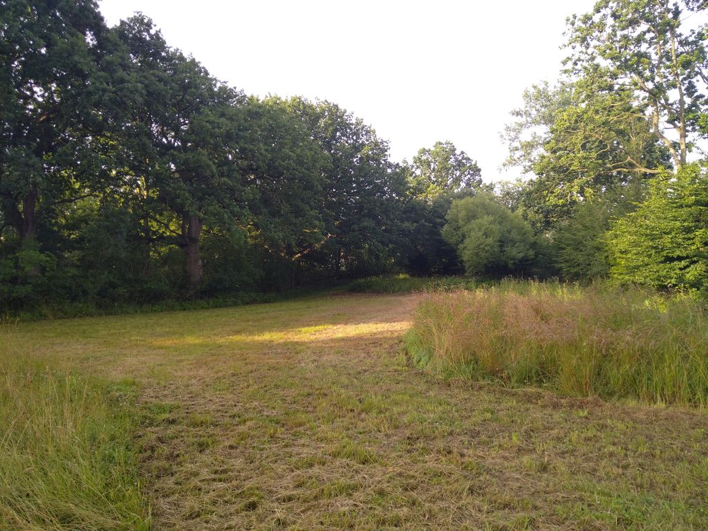 Naturplatz bei Kappeln