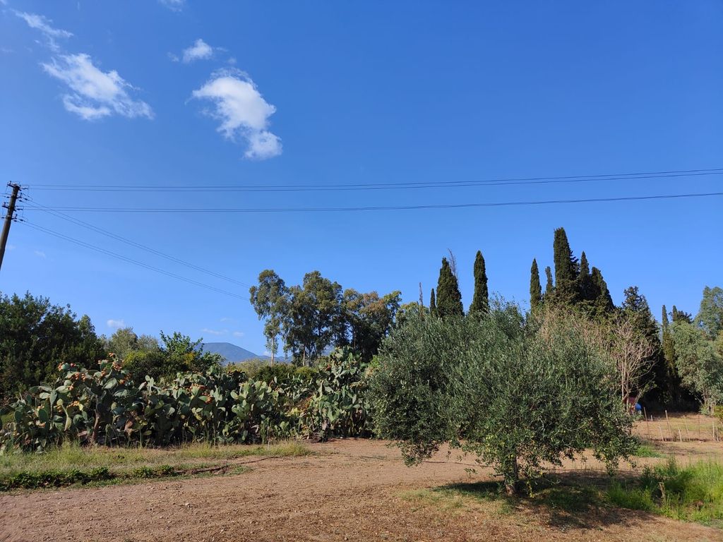 Time-out digitale - Ritiro in casa Sardegna