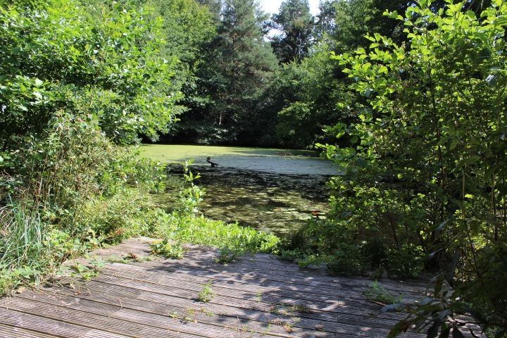 Naturparadies in der Nähe von Lüneburg mit Teich