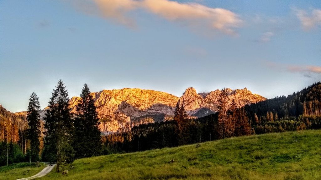 Camping in the Allgäu - mountains, lakes & castles