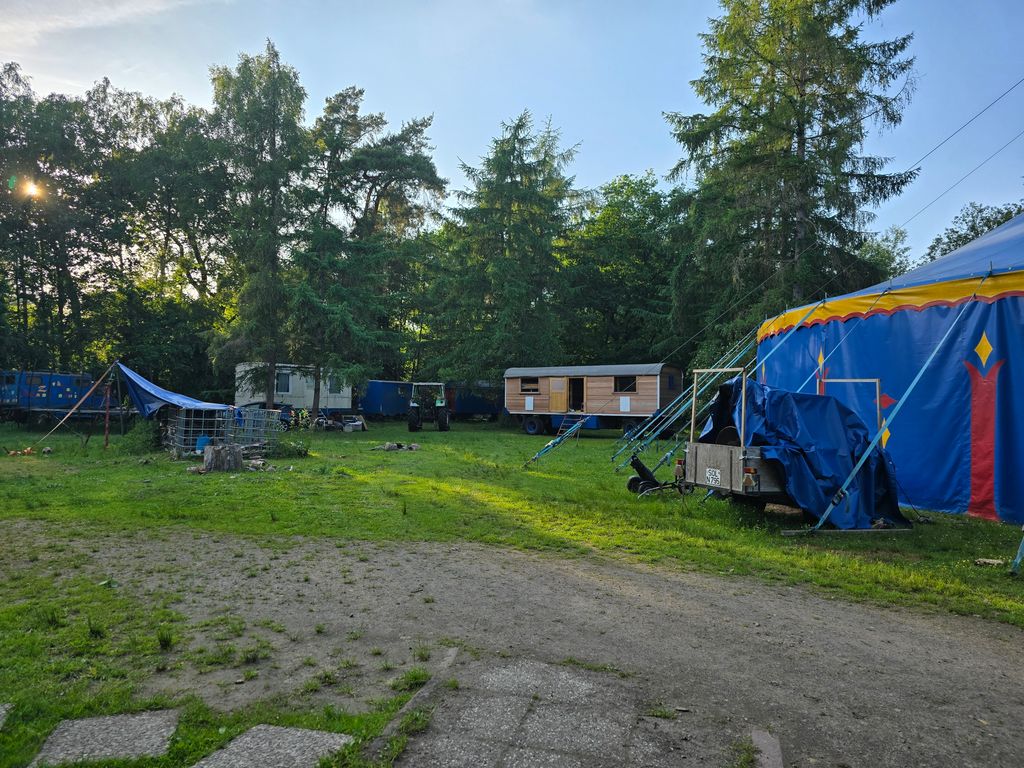 Camp on the Circus Meadow in the middle of the forest