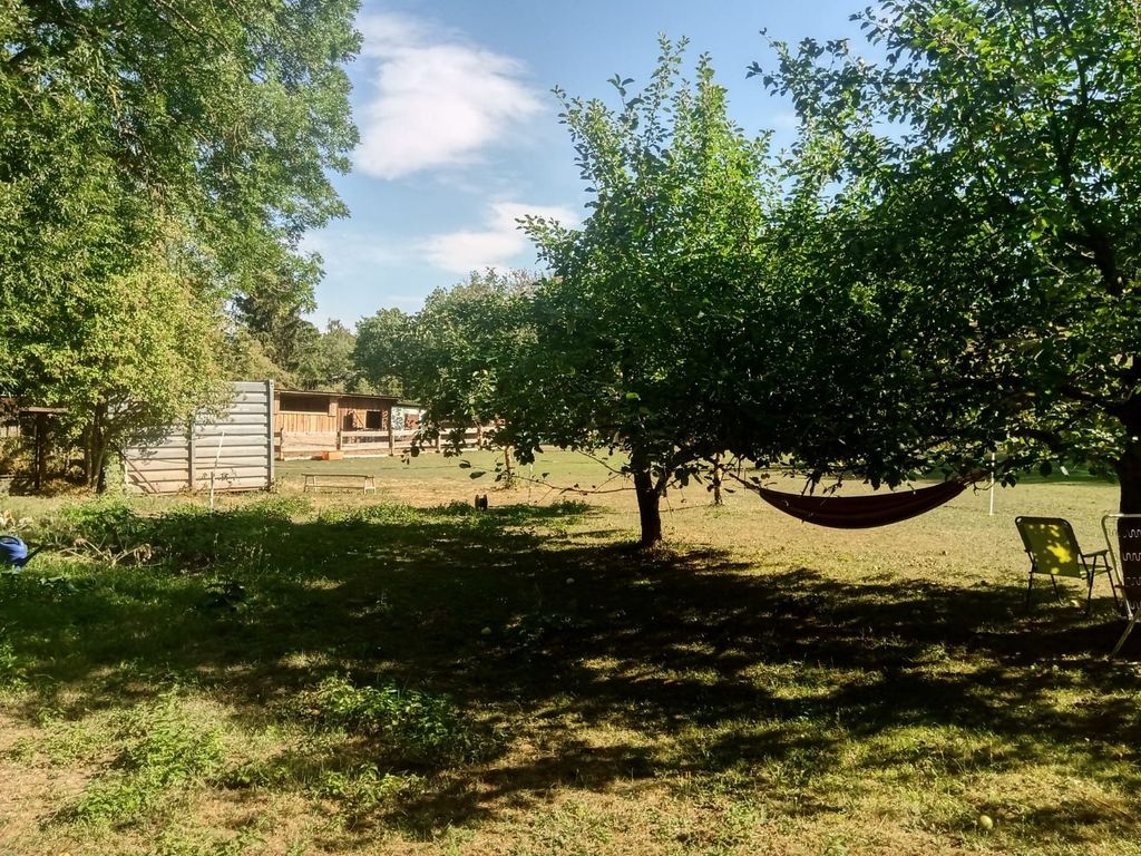 Time out on small farm
