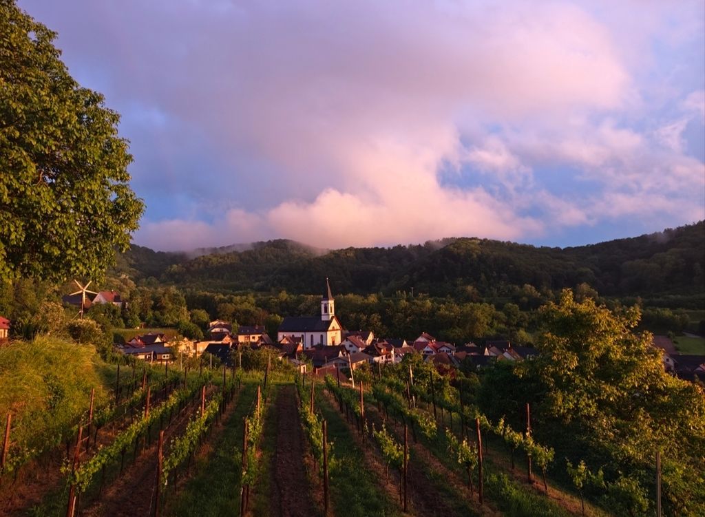Amoltern Camping: Lookout Point with a View of the Vosges Mountains