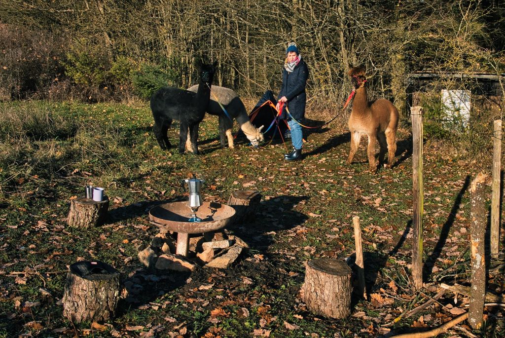 Trekkinglager Wildenbachtal am Lemberg