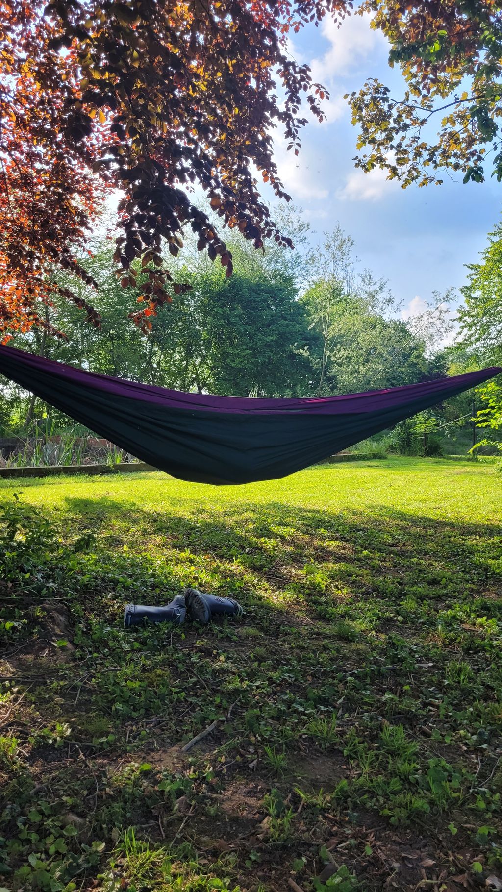 Wiese am Quellteich zwischen Werl und Unna