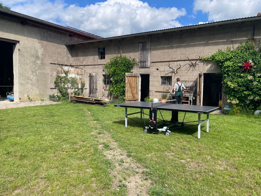 Une campagne calme et idyllique au bord de la digue de l'Elbe