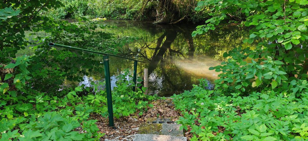 Campeggio in fattoria con animali e fiume