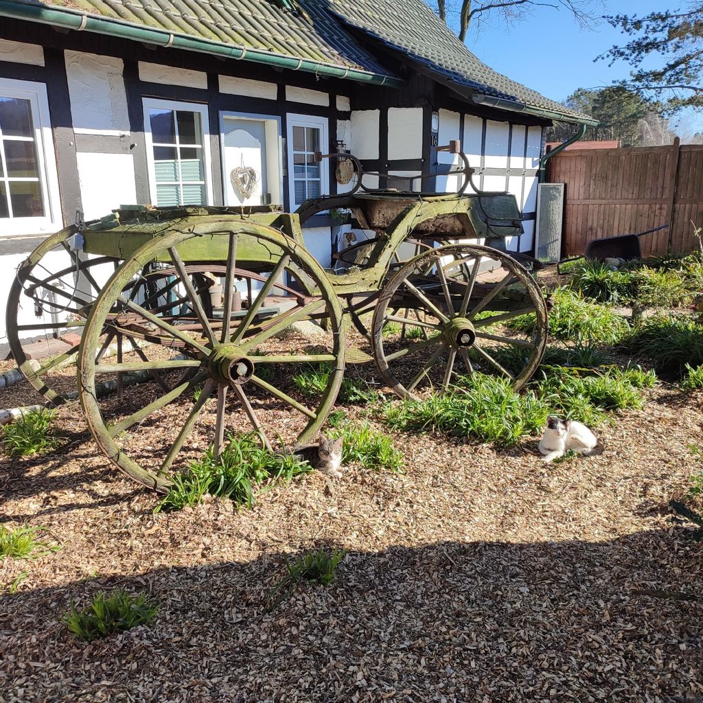 Camping at the old pancake baker