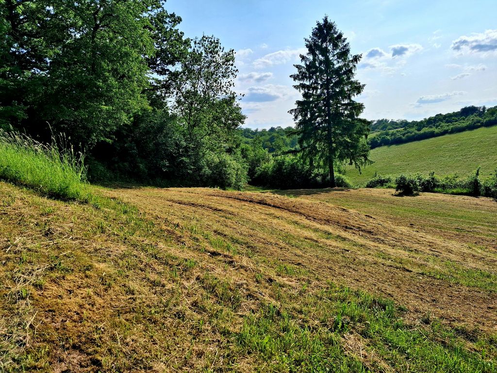 Naturidyll im Südharz mit Blick auf den Brocken