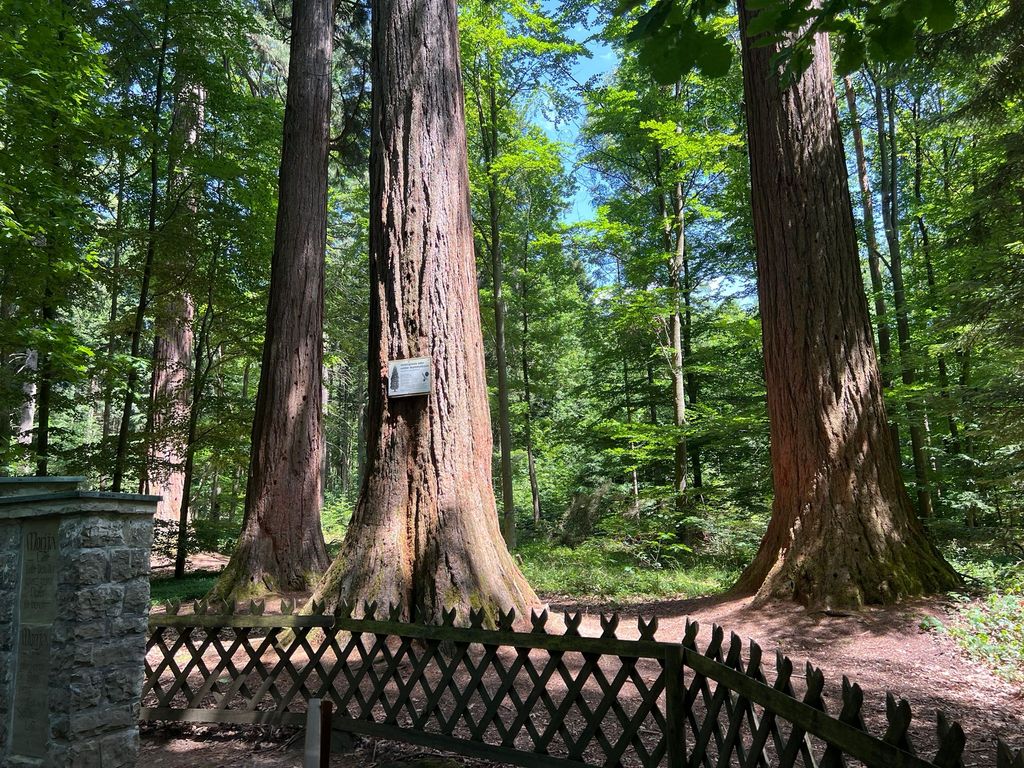 In the middle of the Swabian-Franconian Forest Nature Park