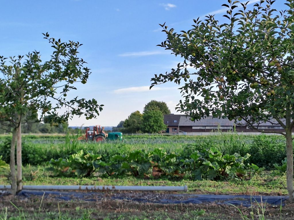 Emplacement directement au bord d'un champ