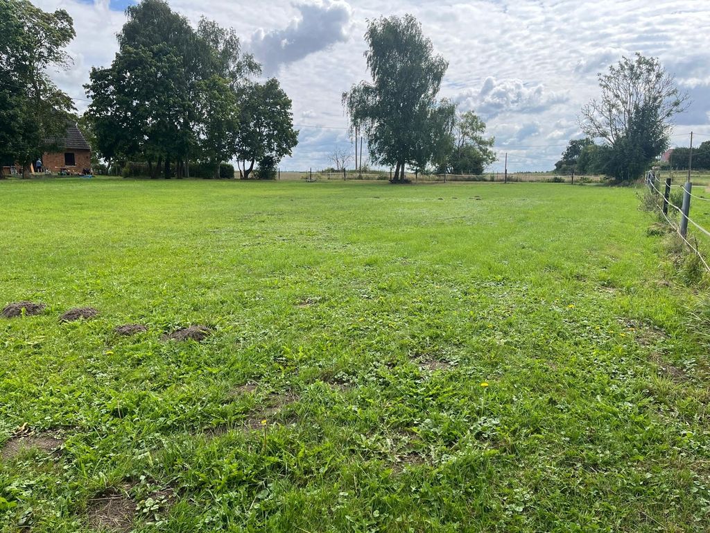 Nature and tranquillity surrounded by fields near Rostock