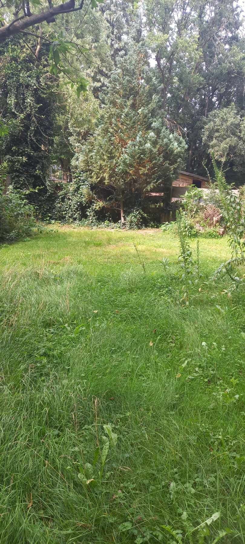 Gastlichkeit - Zelten im Garten , Wohnmobil davor.