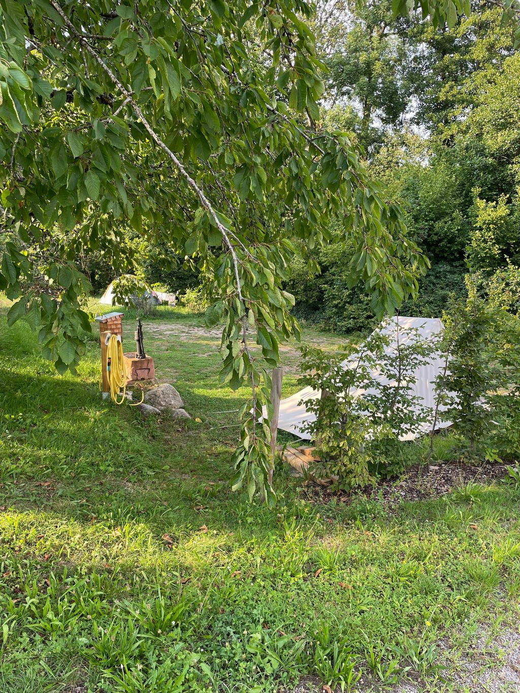 Zwischen Bach und Obstbäumen am Rhein