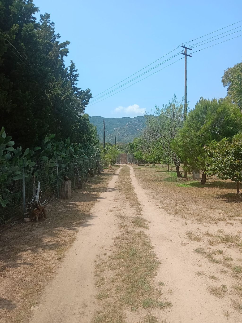 Pause numérique - Tiny House Retreat Sardaigne