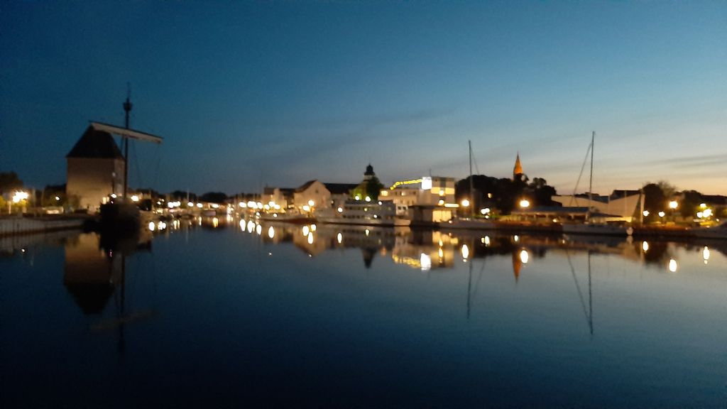 Large meadow on the Szczecin Lagoon