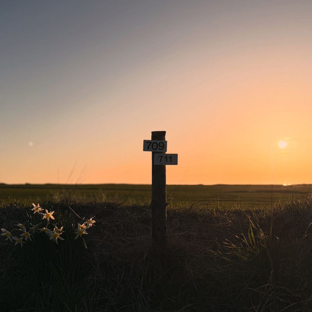 Campeggio naturale sulla costa occidentale e sulle scogliere della Danimarca