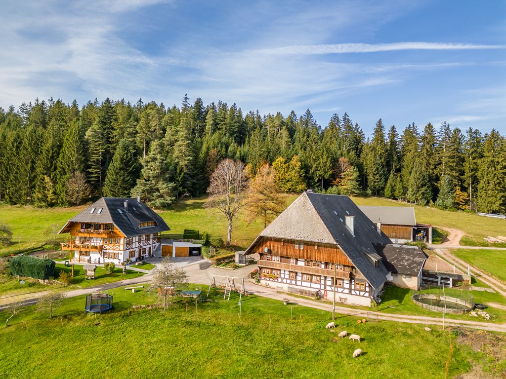 Our Farm from Above