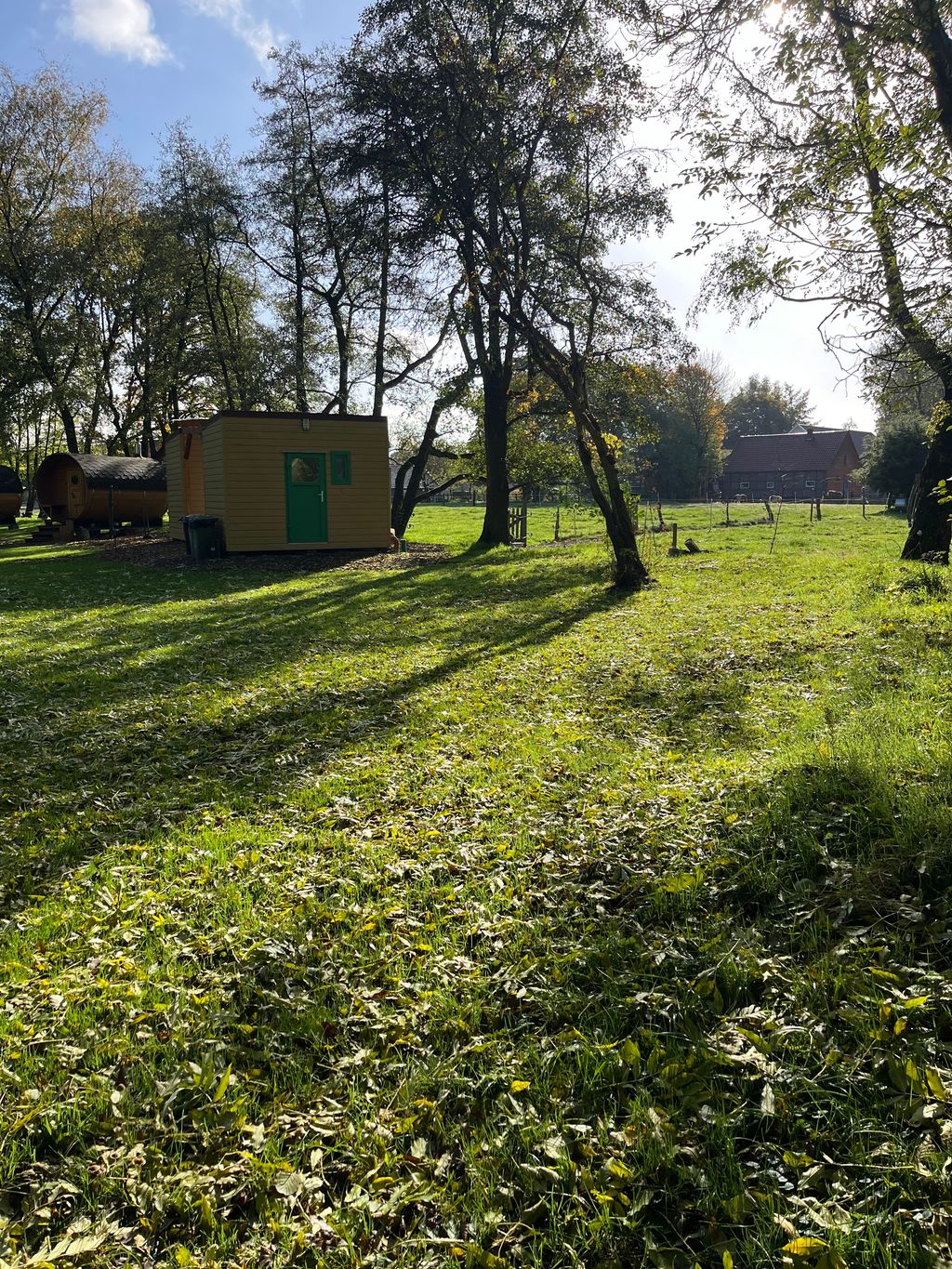 Tiempo libre en la granja, en el prado de vacas con sauna