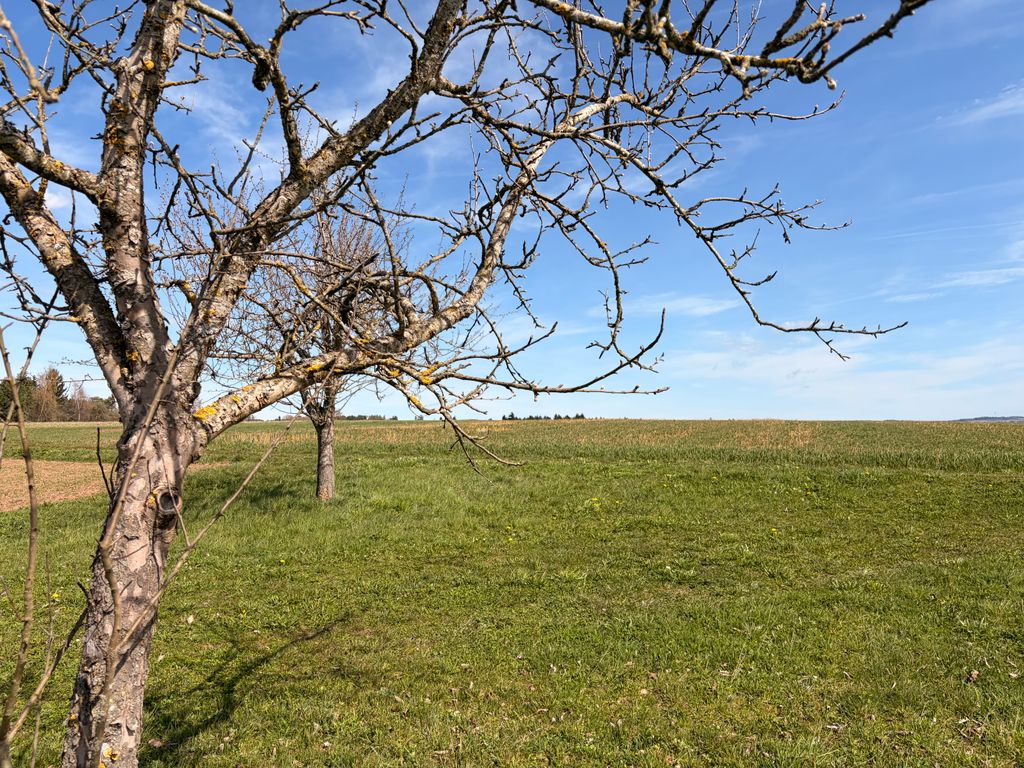 Ruhiger Stellplatz auf Reiterhof