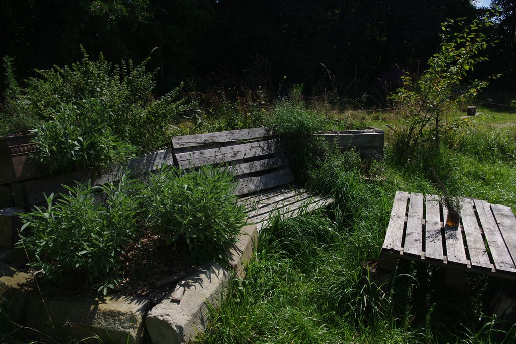 Naturcamping im 3-Länder-Eck in Alleinlage