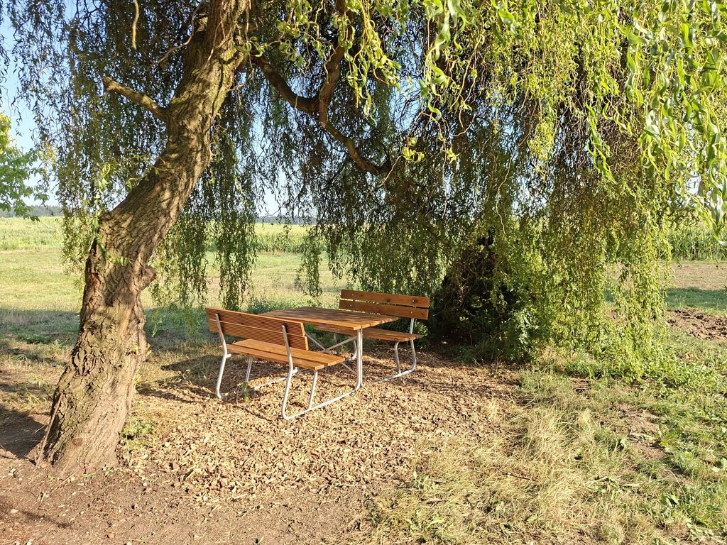 Natur pur an der Kammel