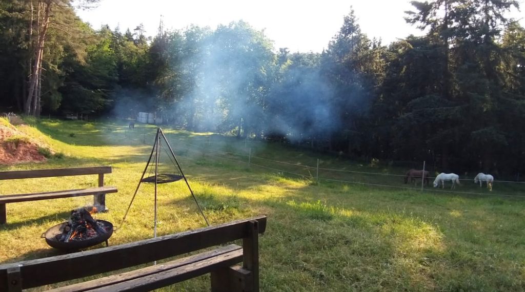 Au cœur de la forêt du Palatinat