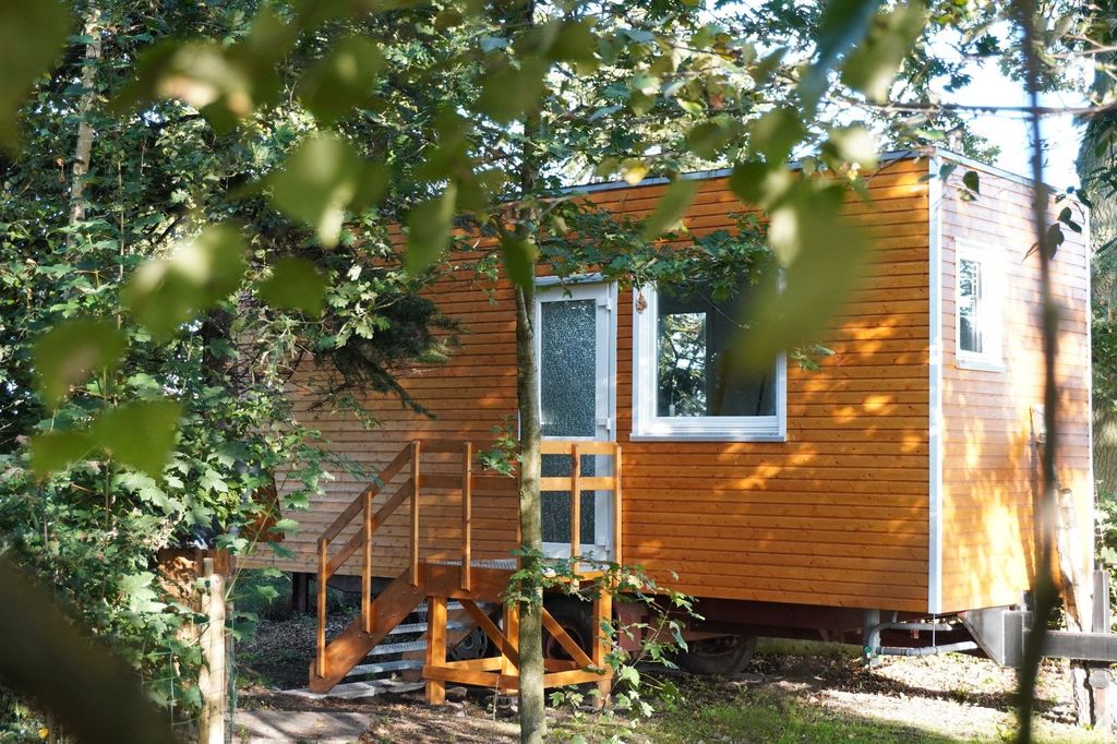 The Tiny House in the small forest