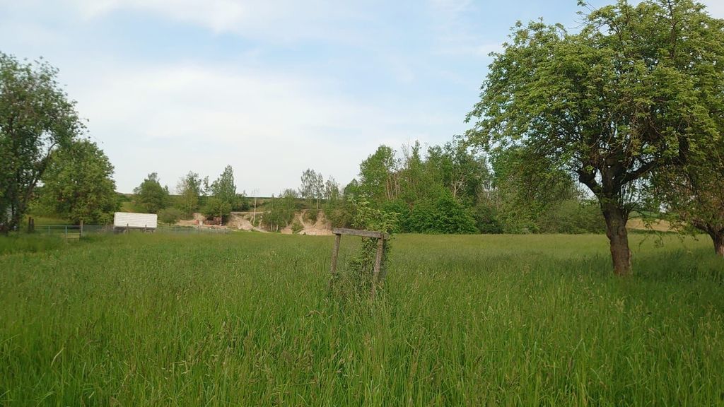 Prato quasi naturale in una vecchia cava di sabbia