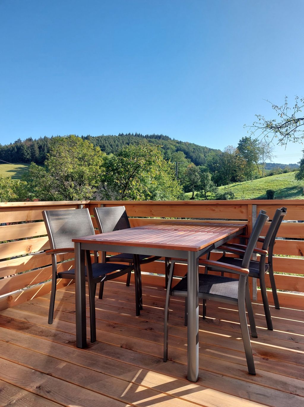 Tiny House im Schwarzwald – Natur pur in Wildtal