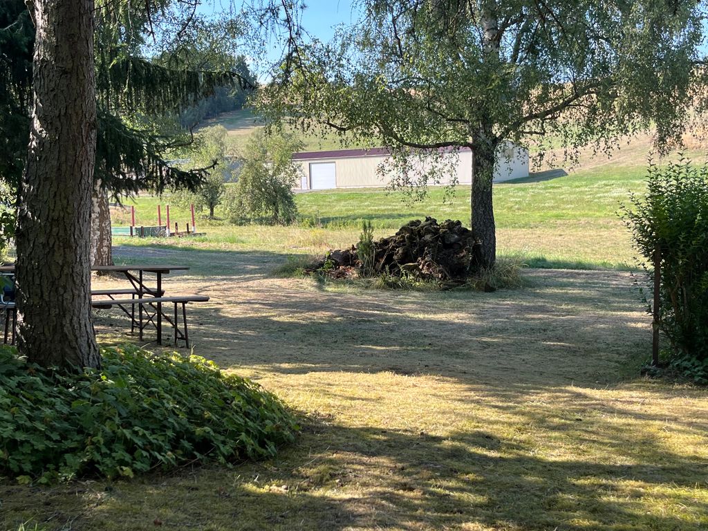 Campeggio in giardino all’ombra di alberi secolari: tranquillità e natura 