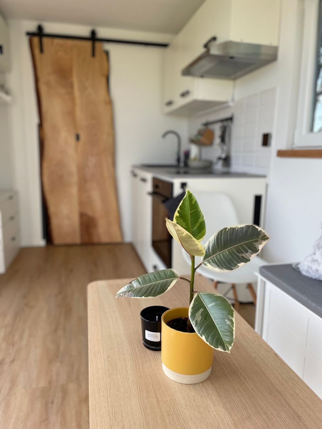 Container-Tinyhouse direkt neben der Pferdekoppel