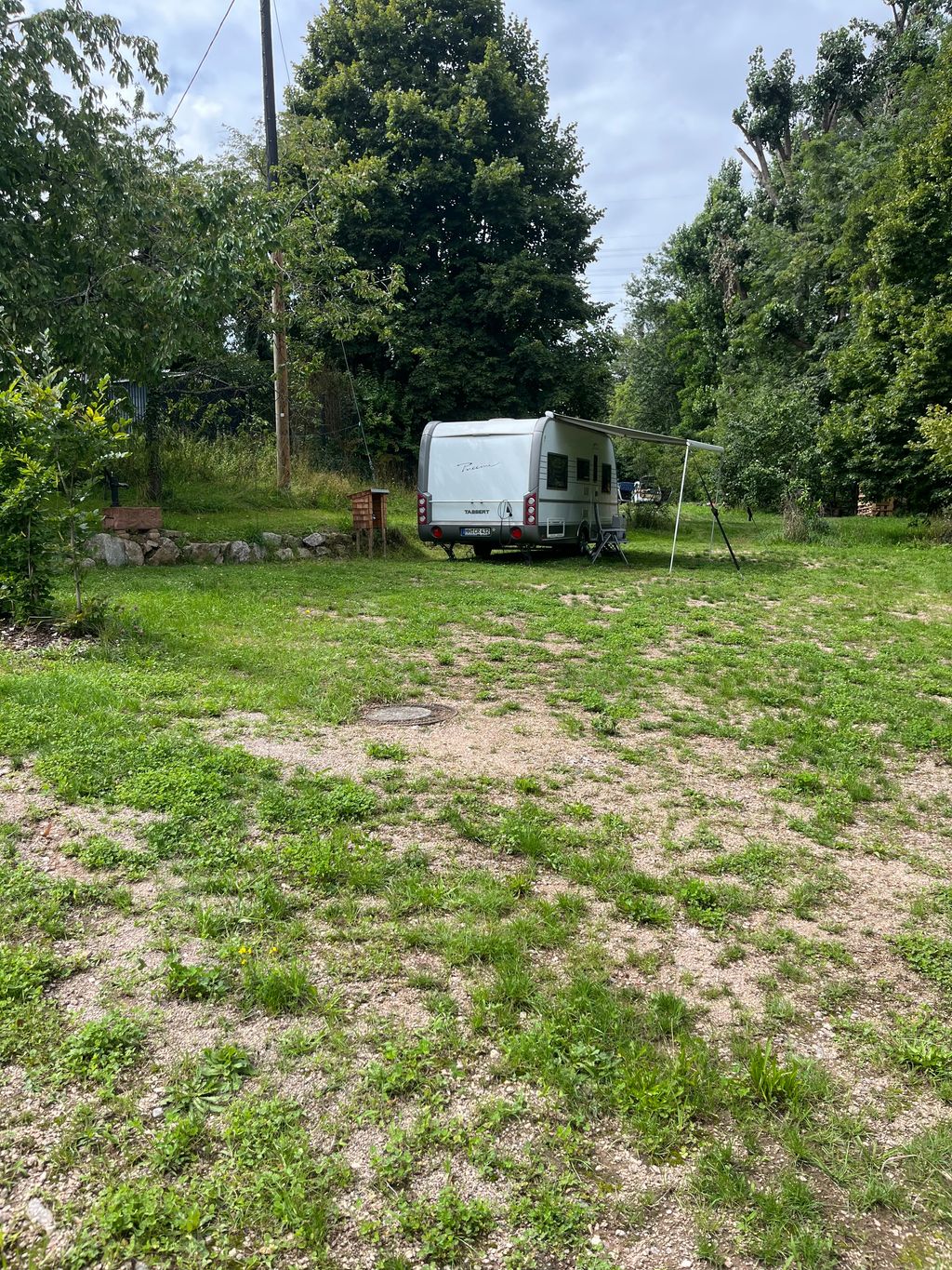 Between the stream and fruit trees on the Rhine