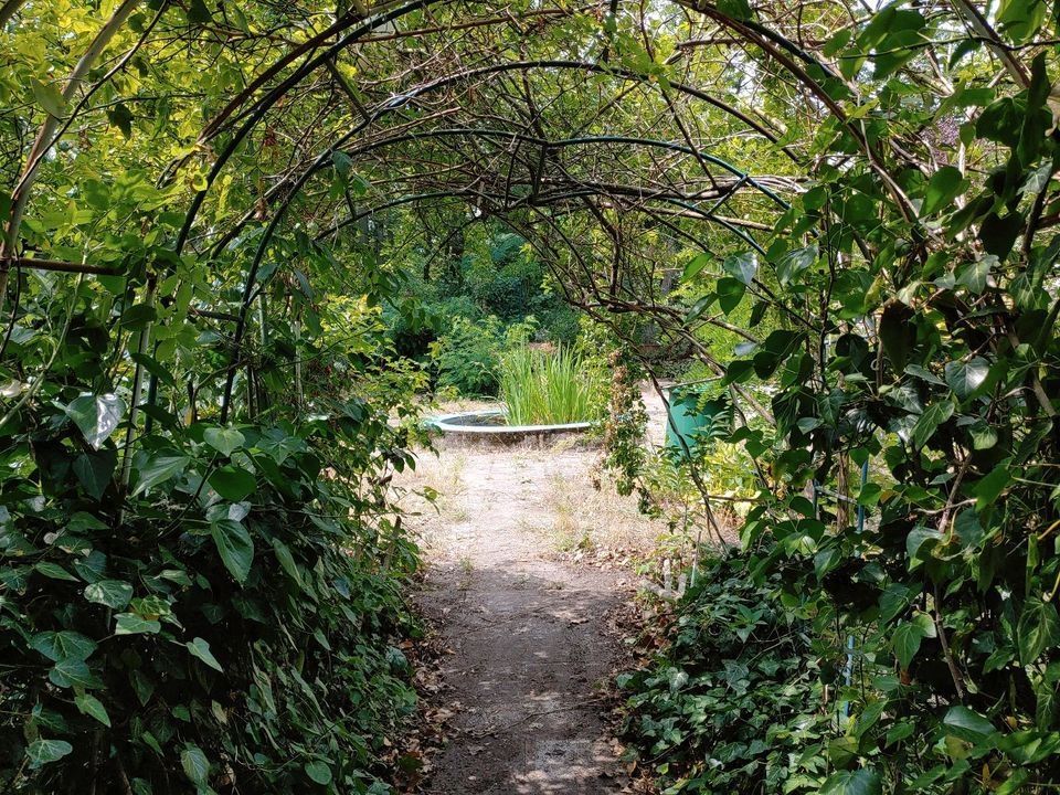 Jardin naturel directement au bord de la belle Müggelspree