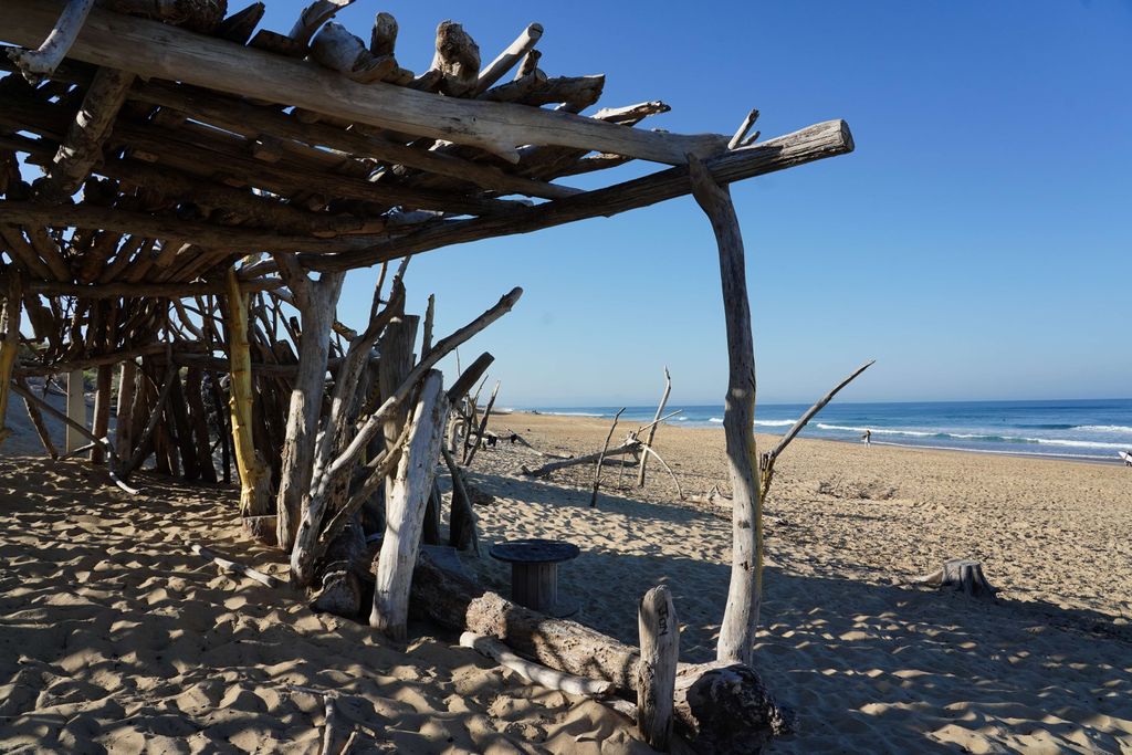Camping en la naturaleza - Jardín, playa y surf