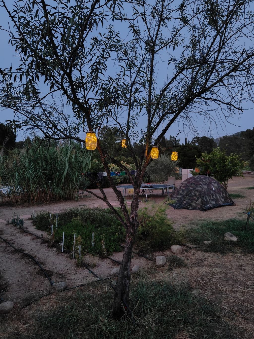 Pause numérique - Tiny House Retreat Sardaigne